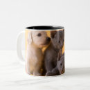 Suche nach russische blaue tassen Babytiere
