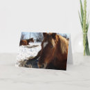 Suche nach scotch karten Sorrel