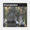 Suche nach mangrove magnete Florida
