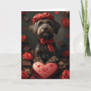 Suche nach griffons karten Drahthaar mit griffon