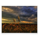 Suche nach hdr poster Himmel