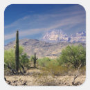 Suche nach sonoran aufkleber Wüste