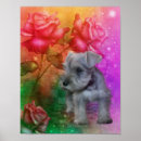 Suche nach schnauzer poster Blume