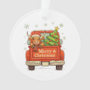 Suche nach lustige kuh ornamente Familie