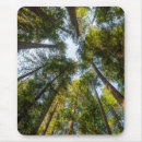 Suche nach haines mousepads Wald
