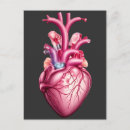 Suche nach anatomisches herz postkarten Arzt