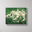 Suche nach romantische blumen leinwandbilder Rosa