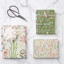 Suche nach kraut geschenkpapier Pflanze