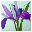 Suche nach iris blumen fliesen Lila