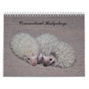 Suche nach igel kalender Tiere