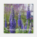 Suche nach grüne biene magnete Blume