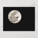 Suche nach aro postkarten Flugzeug