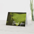 Suche nach pflanze postkarten dankeskarten Blatt