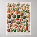 Suche nach obst und gemüse poster Vegetarisch