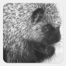 Suche nach porcupine aufkleber Qualen