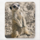 Suche nach wachs mousepads Baby