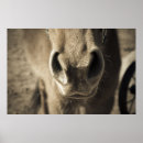 Suche nach essbar poster Natur