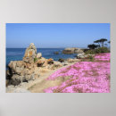 Suche nach monterey bucht poster Carmel