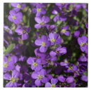 Suche nach draußen fliesen Überfluss