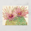 Suche nach postkarten Rosa