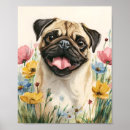 Suche nach lugano poster Mops