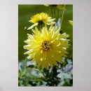 Suche nach dahlien poster Grün