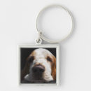 Suche nach basset schlüsselanhänger Betrachten der kamera