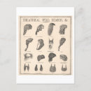 Suche nach bärte postkarten Theater