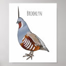 Suche nach qual poster Vogelvogel