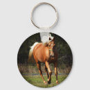 Suche nach palomino schlüsselanhänger Pony