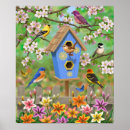 Suche nach songbird poster Singvögel
