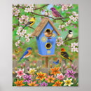 Suche nach singvogel poster Singvögel