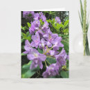 Suche nach rhododendron karten Rhododendren