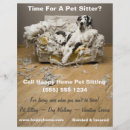 Suche nach hundewanderung flyer Heimtiergeschäft