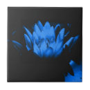 Suche nach blaue lilie fliesen Blüten