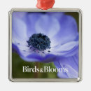 Suche nach anemonen ornamente Blume