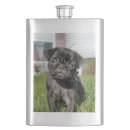 Suche nach mops flachmänner Hund