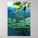 Suche nach reisterrasse poster Landschaft