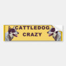 Suche nach crazy autoaufkleber Hund