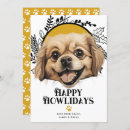 Suche nach tibetaner karten Haustier