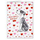 Suche nach great dane Dagegen