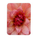 Suche nach kante magnete Rosa