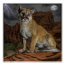 Suche nach cougar poster Tiere