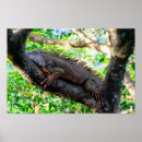 Suche nach leguan kunst Wildtiere