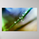 Suche nach gras pflanze poster Blau