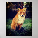 Suche nach foxy poster Wald