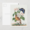 Suche nach botanischer druck postkarten Cottagecore