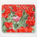 Suche nach rote tulpe mousepads Grün