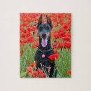 Suche nach dobermann pinscher puzzle Haustier
