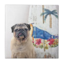 Suche nach mops fliesen Niedlich